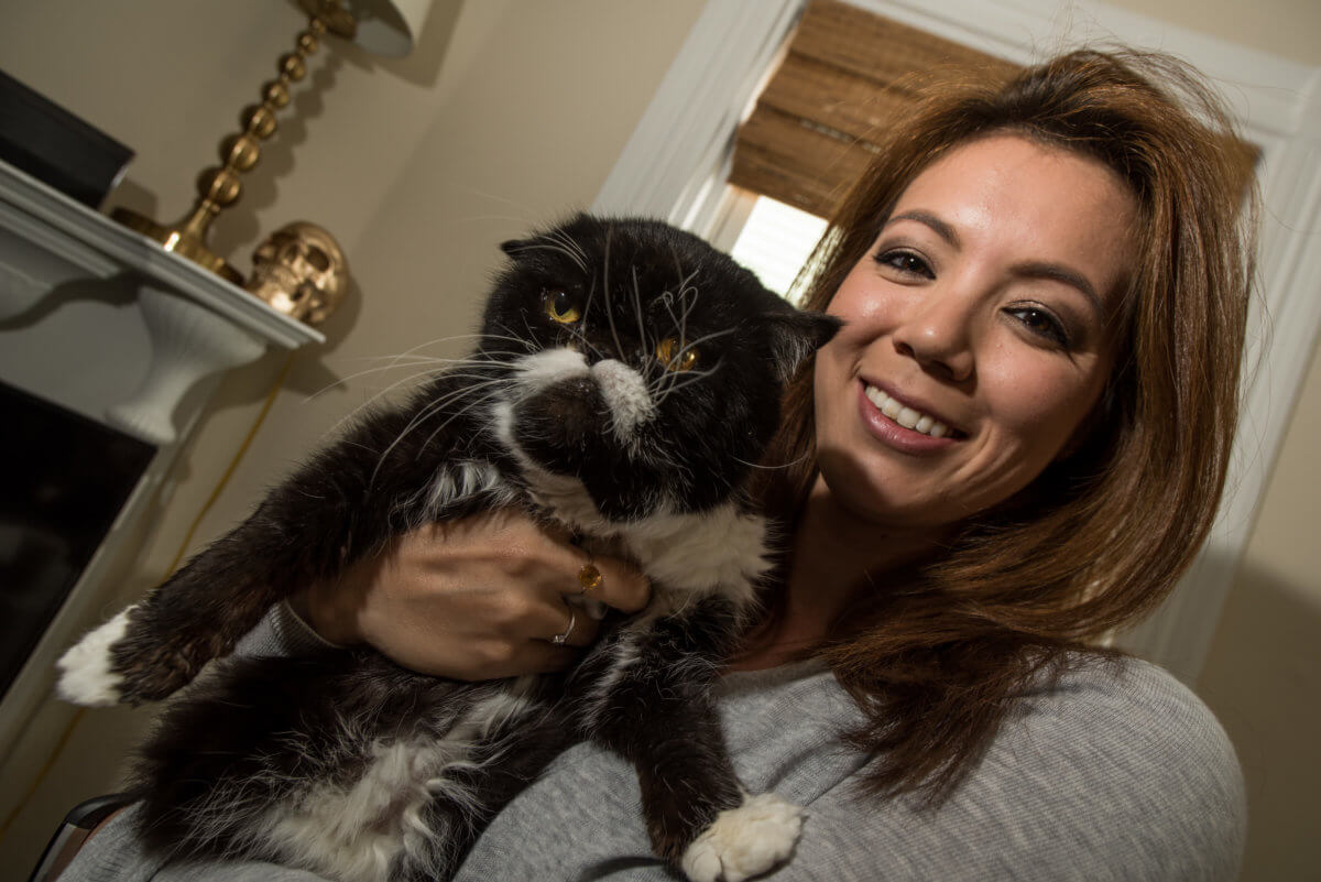 Instagram-famous cat lends his fame to help domestic violence victims