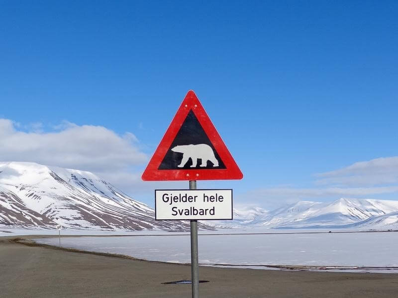 Arctic eclipse alert: hotels full, it’s cold, polar bears prowl