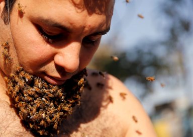 Egyptian man grows ‘Beard of Bees’, hopes to promote apian benefits