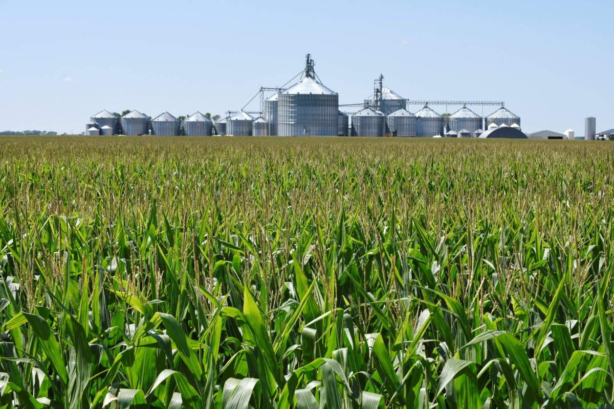 U.S. farmers receive $14.03 billion so far in government trade aid