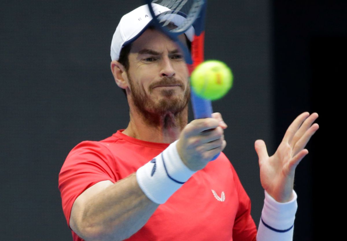 ATP roundup: Murray rallies to reach Antwerp final