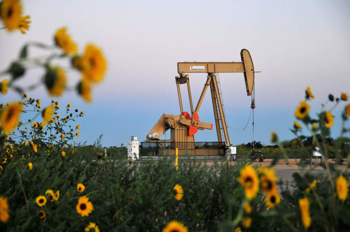 Oil prices edge up, but set for big weekly loss on rising output, trade woes