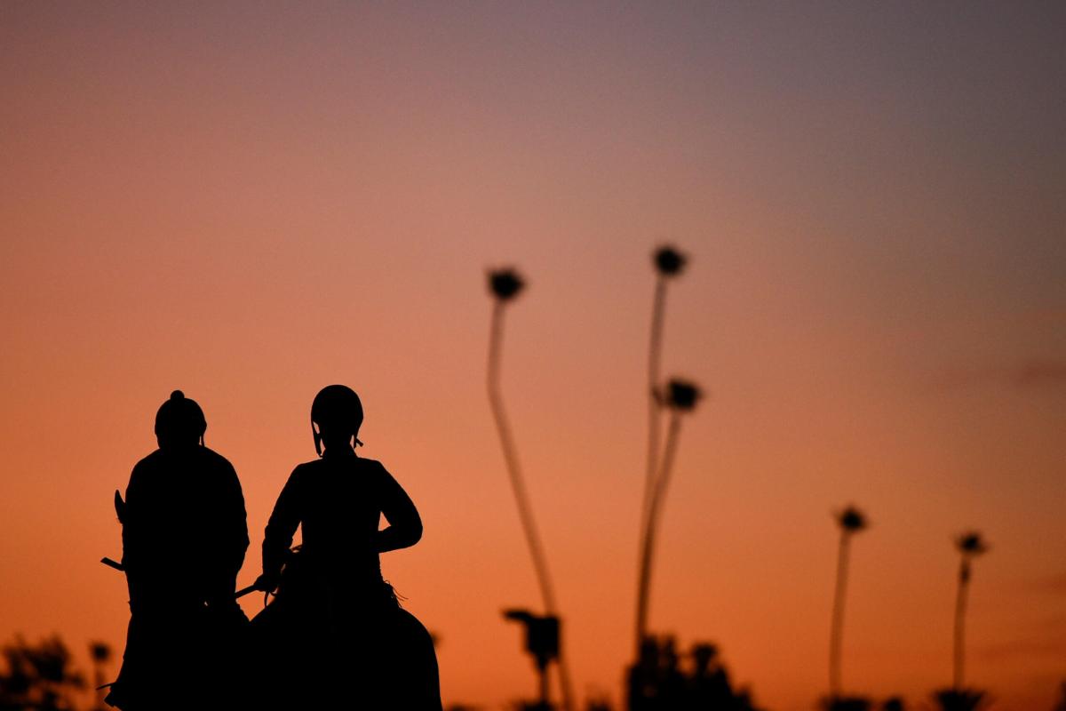 Horse racing: Safety the priority at Breeders’ Cup in Santa Anita