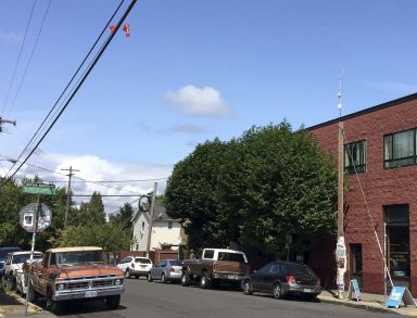 Hundreds of sex toys dangling from power lines in Portland, Oregon