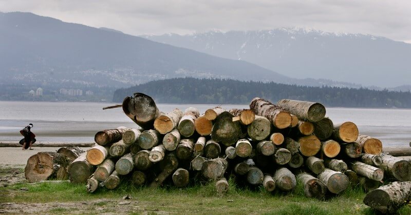 U.S., Canada lumber talks stalled, litigation looms: sources
