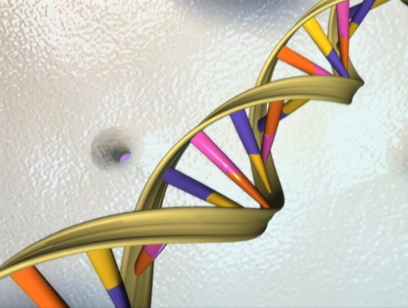 White House proposes measures to speed genomic test development