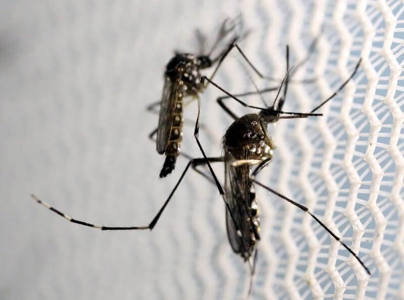Utah resident who had been infected with Zika dies: health officials