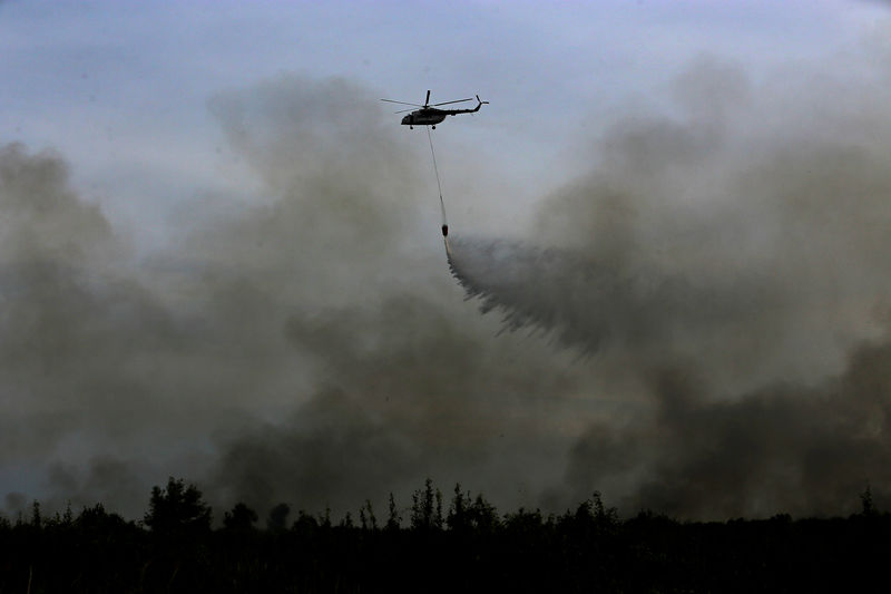 Indonesia fire arrests jump amid efforts to stop haze
