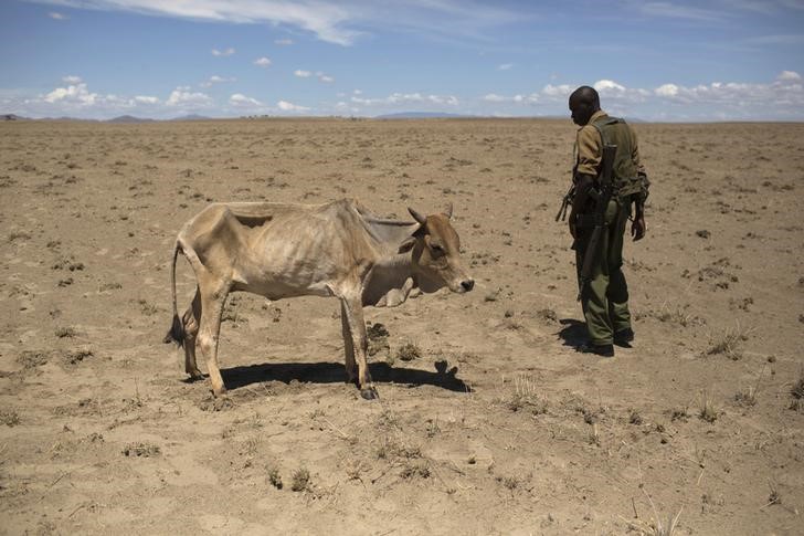 Kenya close to ending drought crises, says local scientist award winner