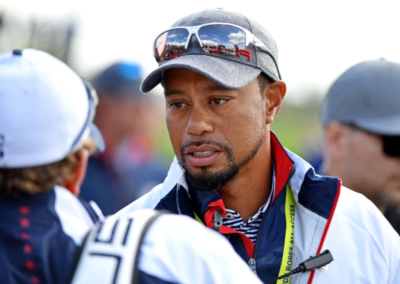 Golf: Tiger may just have to get stuck in and return: Donald