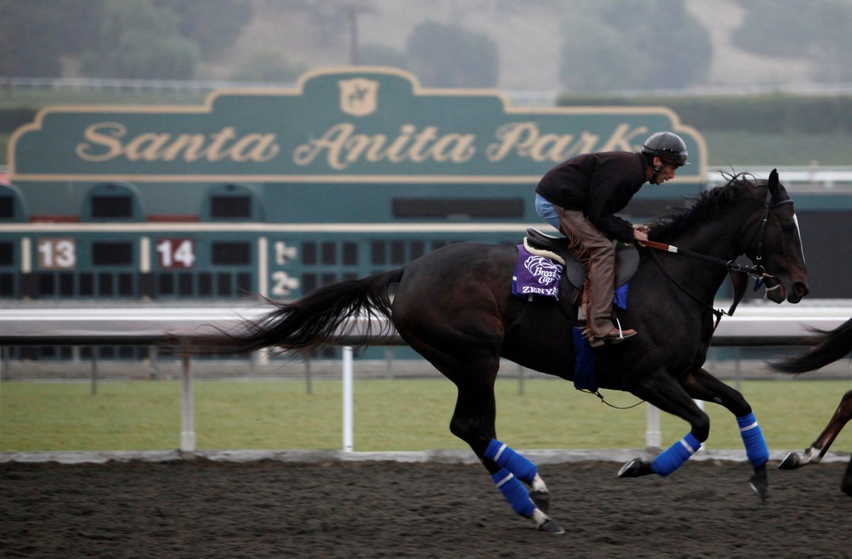California governor signs new horse racing rules after latest death