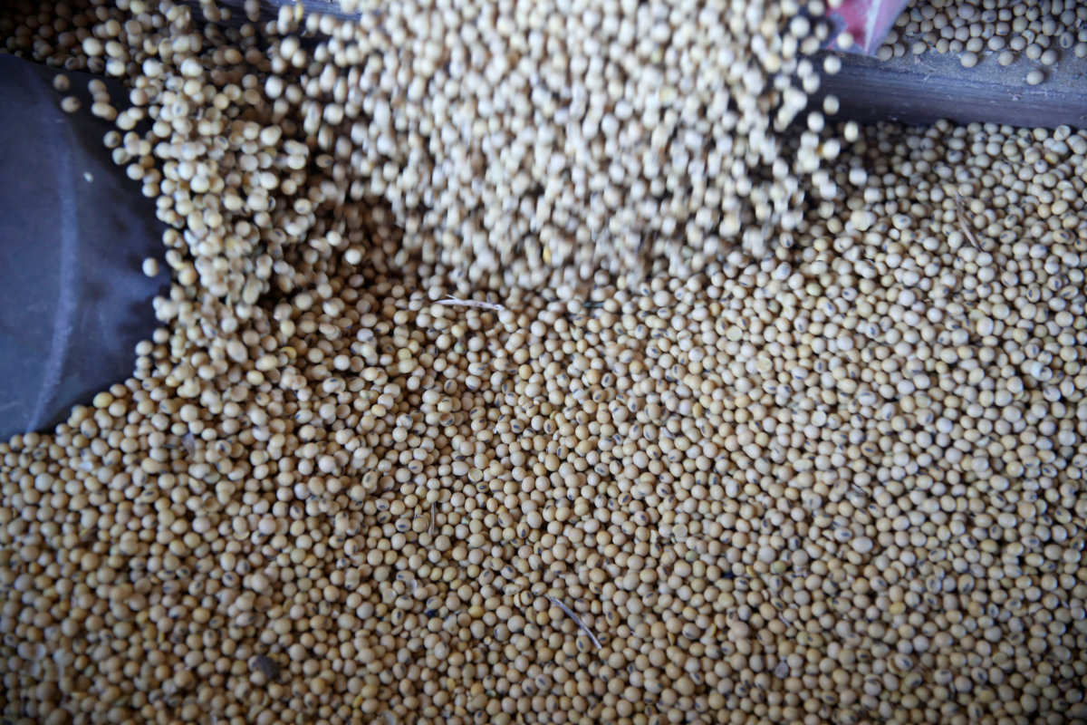 Beijing says millions of tonnes of U.S. soy shipped to China, U.S. data reflects less