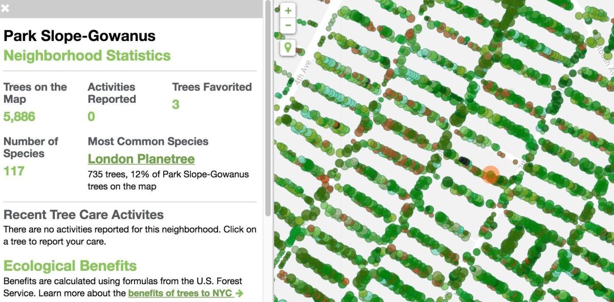 Interactive map shows New York City’s trees by neighborhood