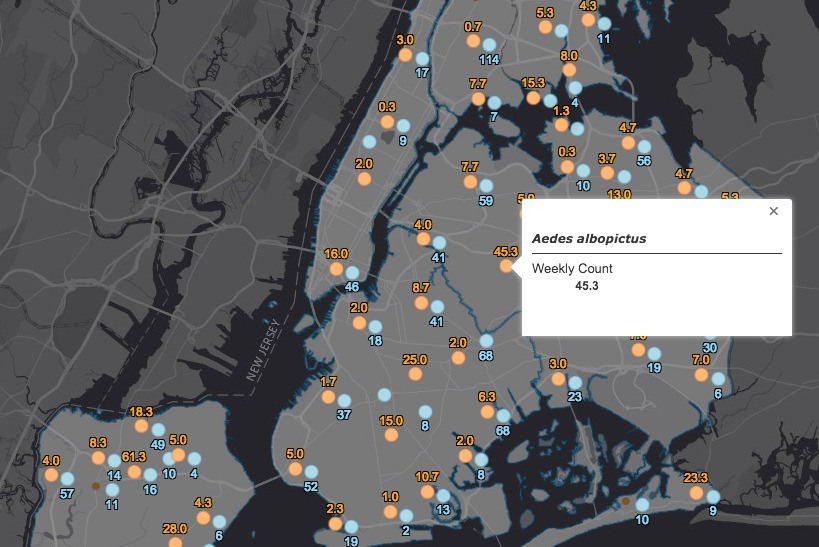 Map shows where there’s potential for West Nile in NYC