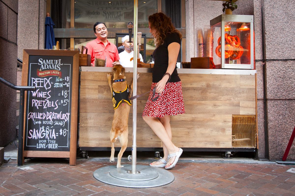 Bring your four-legged BFF to NYC’s dog-friendly restaurants and bars