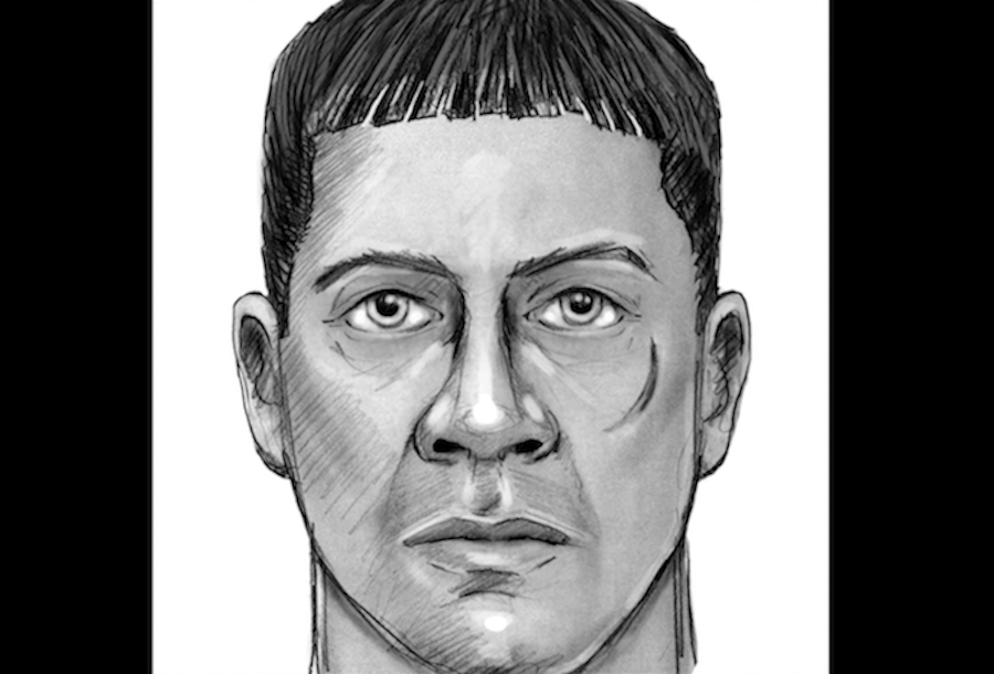 NYPD releases sketch of suspect in Queens sex crime pattern