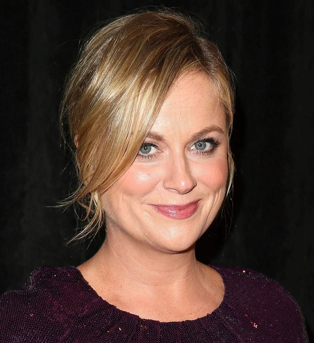 Amy Poehler is Hasty Pudding’s Woman of the Year