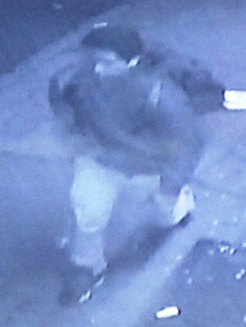 NYPD looking for attempted rape suspect