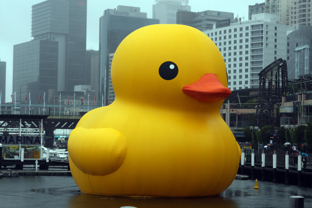 New York, there’s a giant rubber duck coming our way