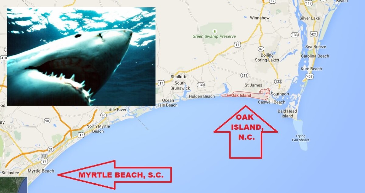 Shark! Two teens lose arms in shark attacks on North Carolina beach