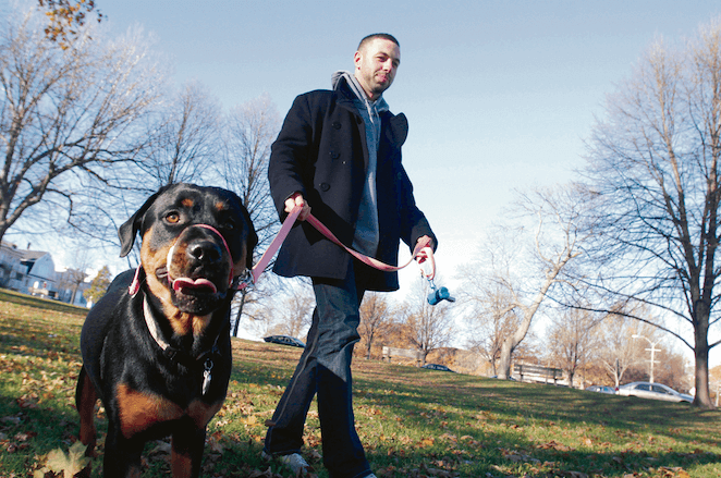 6 Boston dog parks to visit this winter