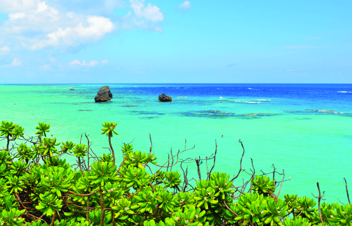 Bermuda:Beaches and beyond
