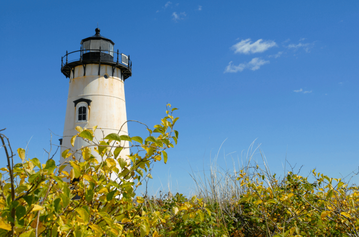 Ready to escape to the Cape? Here’s what you can do there.
