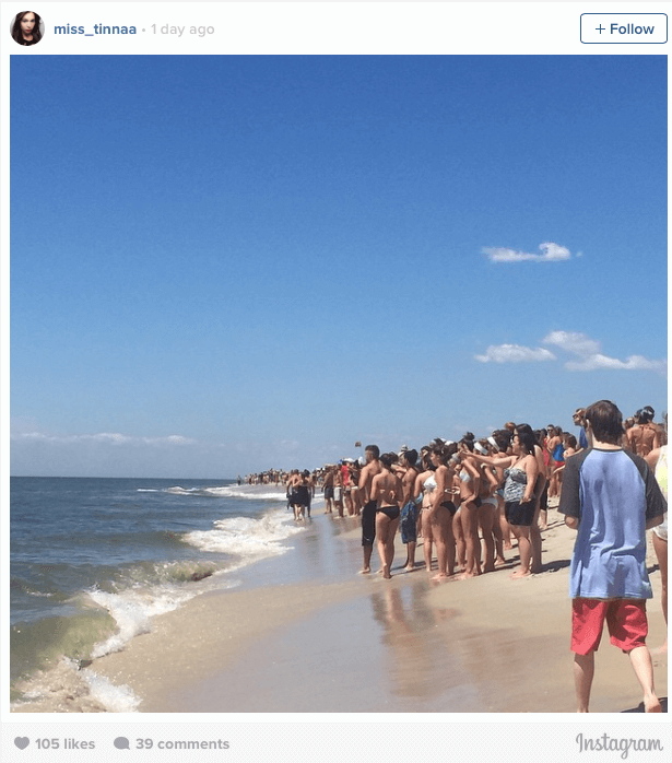 Sharks sighted in Oyster Bay