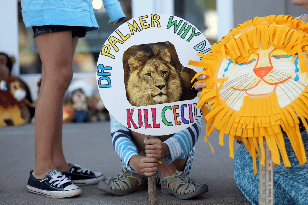Where in the world is the dentist that killed Cecil the lion?