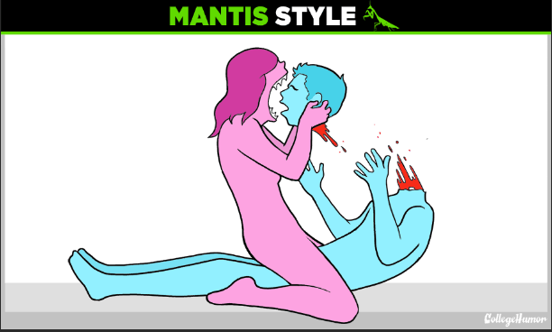 Pray Mantis Sex Position