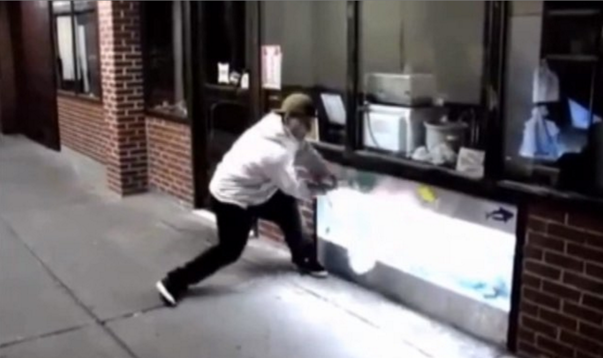VIDEO: Skateboarder allegedly vandalizes lobster tank, throws lobsters