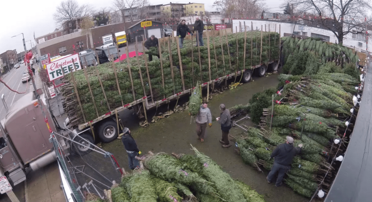 Should you buy a real or artificial Christmas tree?