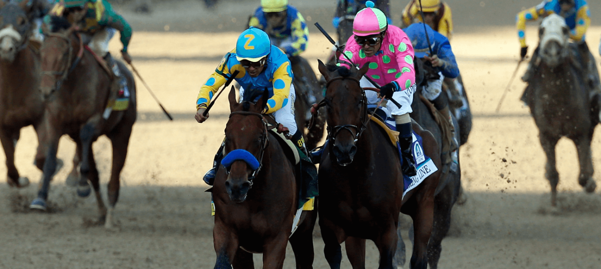 2015 Preakness Stakes (Pimlico betting odds)