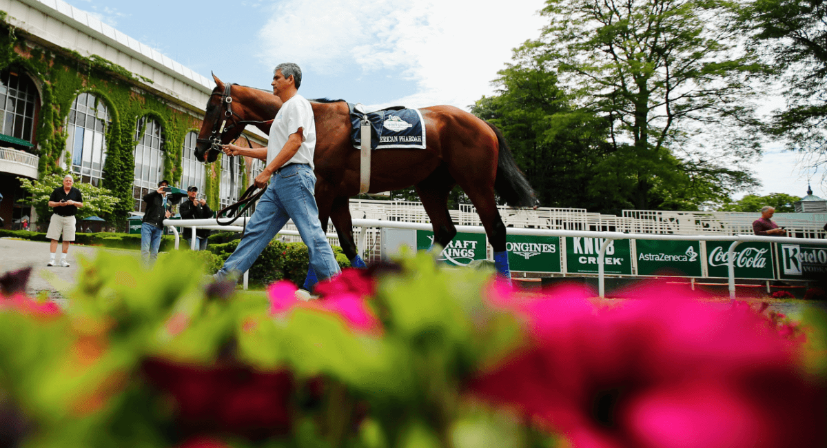 2015 Belmont Stakes betting odds