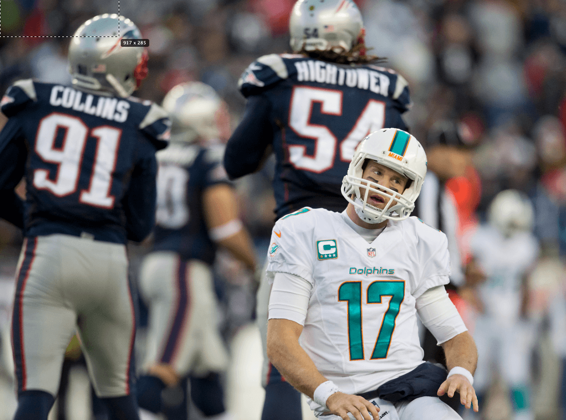 Good news for Patriots – the Dolphins, Bills and Jets stink again
