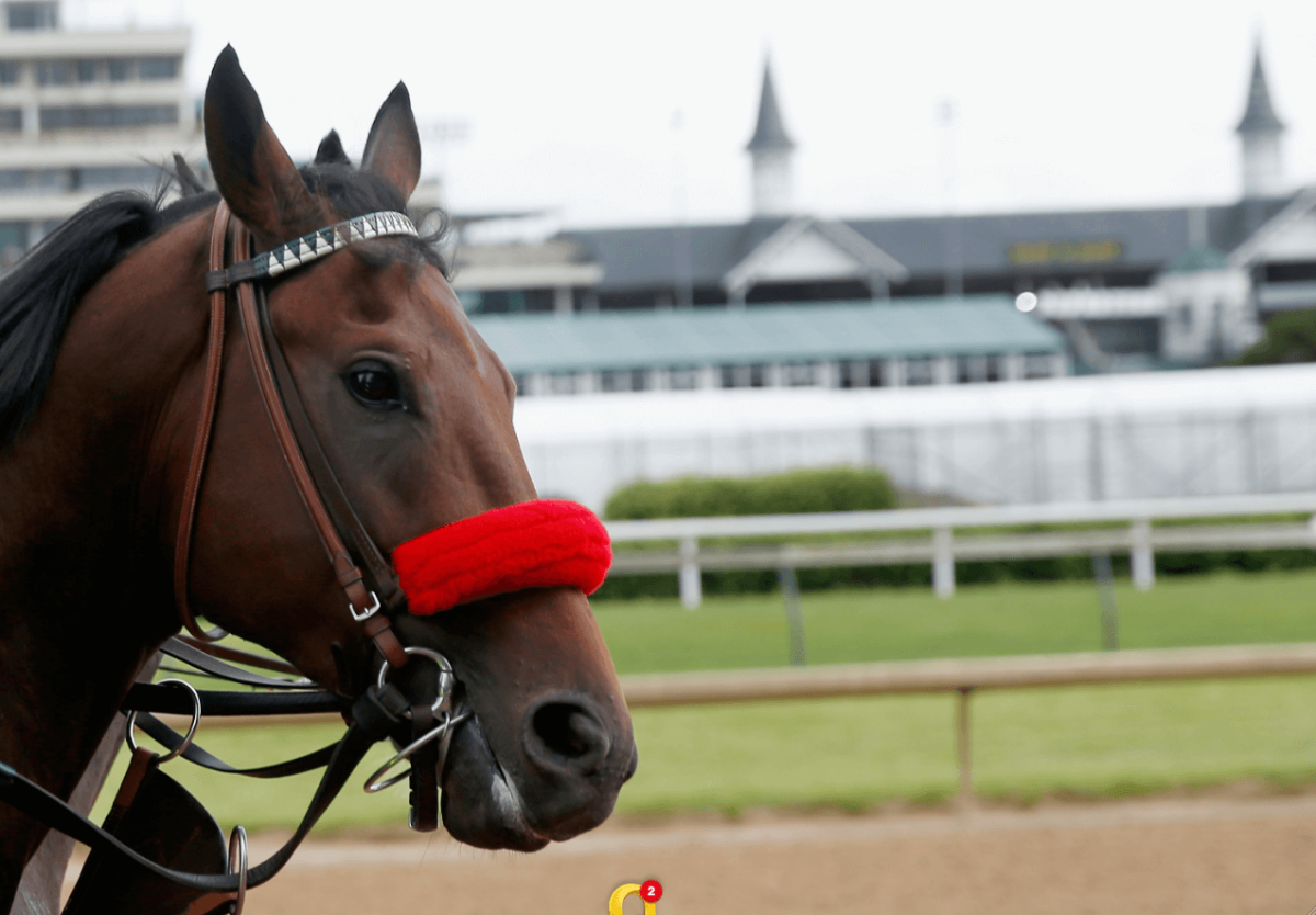 What time does 2016 Kentucky Derby start? (TV channel, begin time)