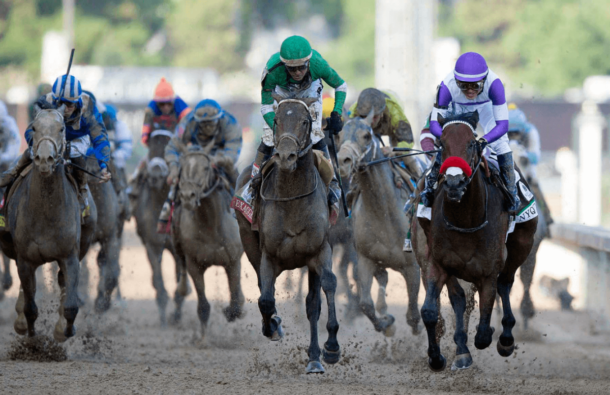 When is the Preakness Stakes and Belmont 2016?
