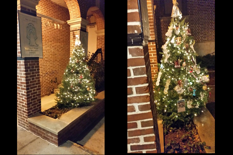 Bronx ‘Tree of Angels’ lighting honors the memories of homicide victims
