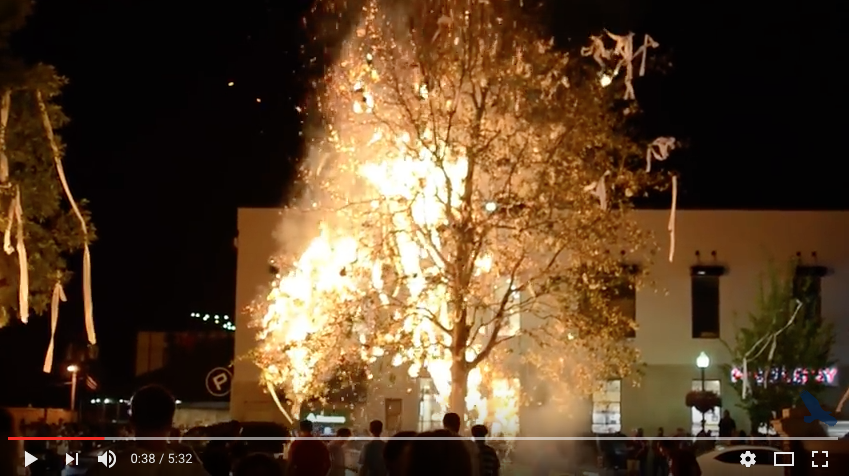 Trees on fire at Auburn, couches burning at Tennessee after wins (video)