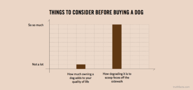Truth Facts: Things to consider before buying a dog