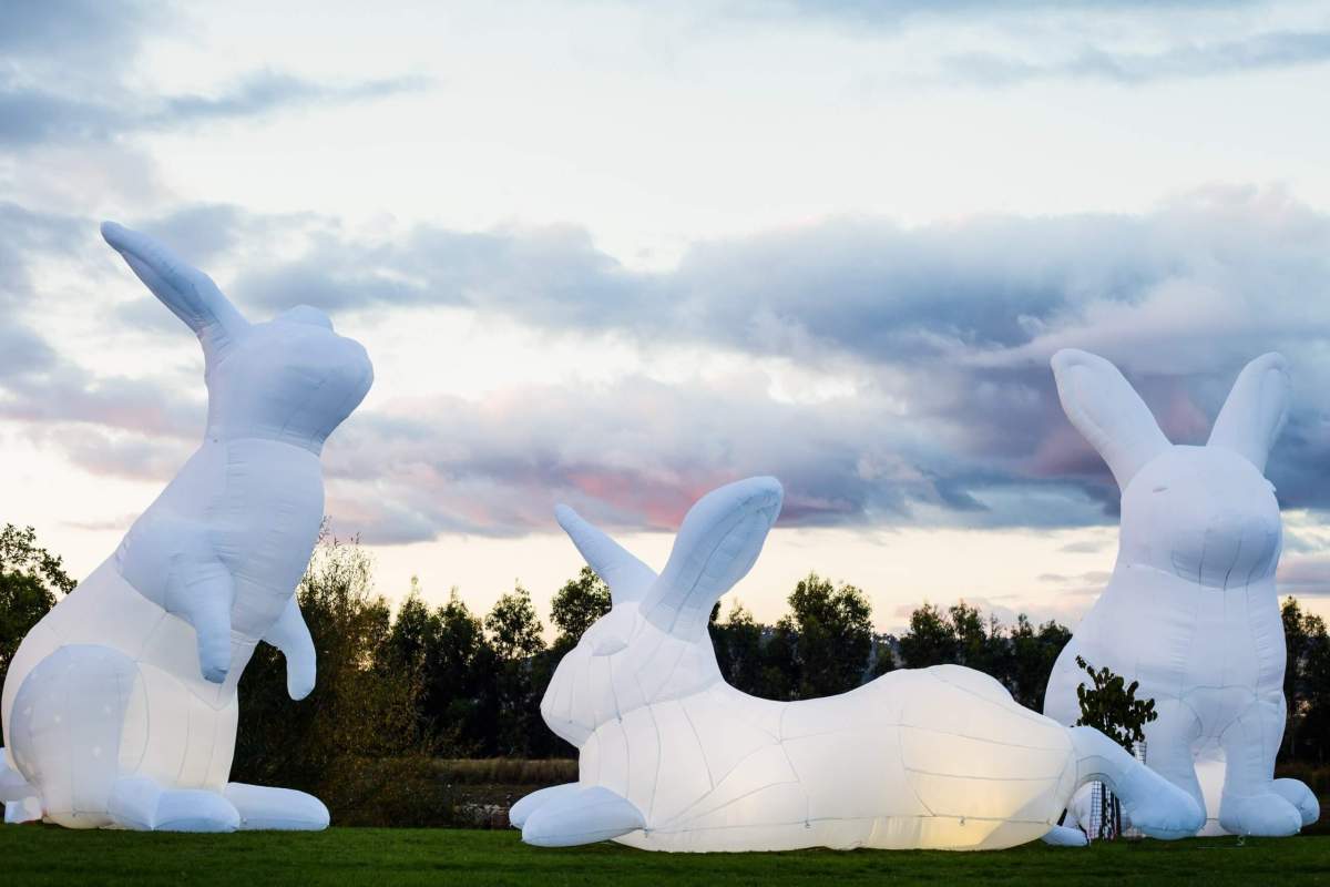 Giant inflatable bunnies coming to Boston’s Lawn on D