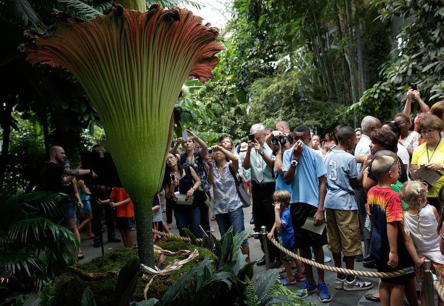 Zoo invites visitors to stinky exhibit
