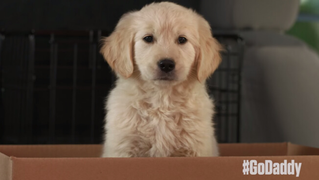It’s a no-go for Go Daddy’s cute puppy Super Bowl commercial