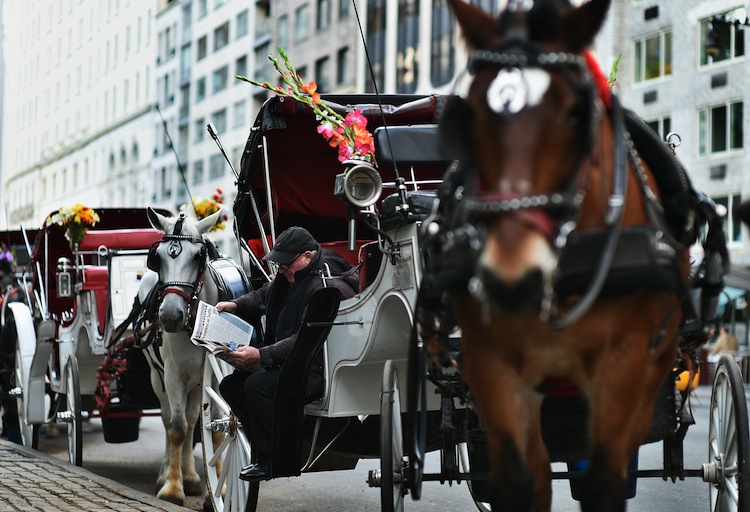 Deal expected to keep horse carriages in NYC, but lower numbers