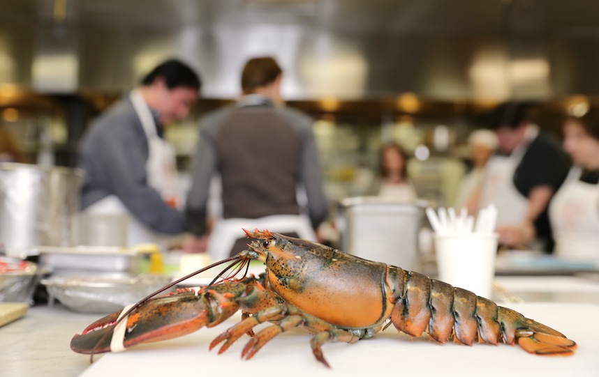 Some NYC restaurants are subbing out lobster with cheaper fish