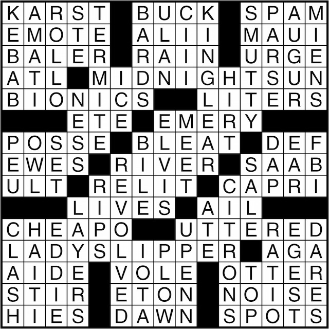 Crossword puzzle answers: January 20, 2016