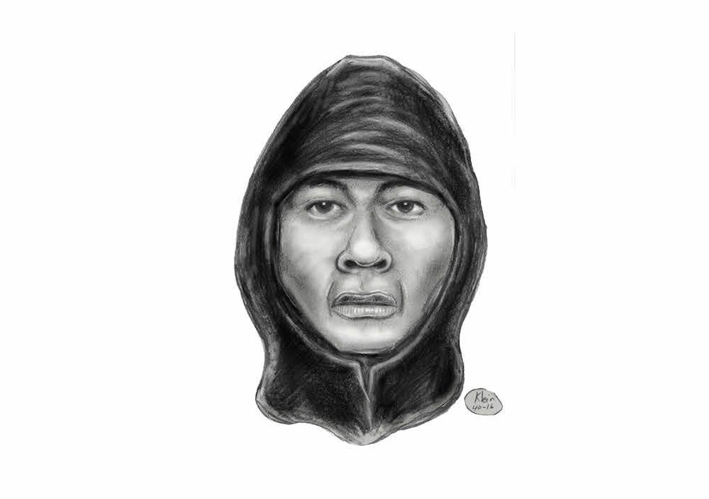 Sketch shows suspect who punched jogger at Bronx park: NYPD