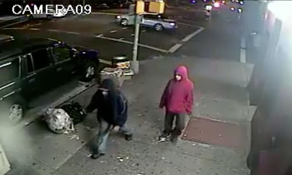 NYPD looking for men who tried to rob elderly Bronx woman