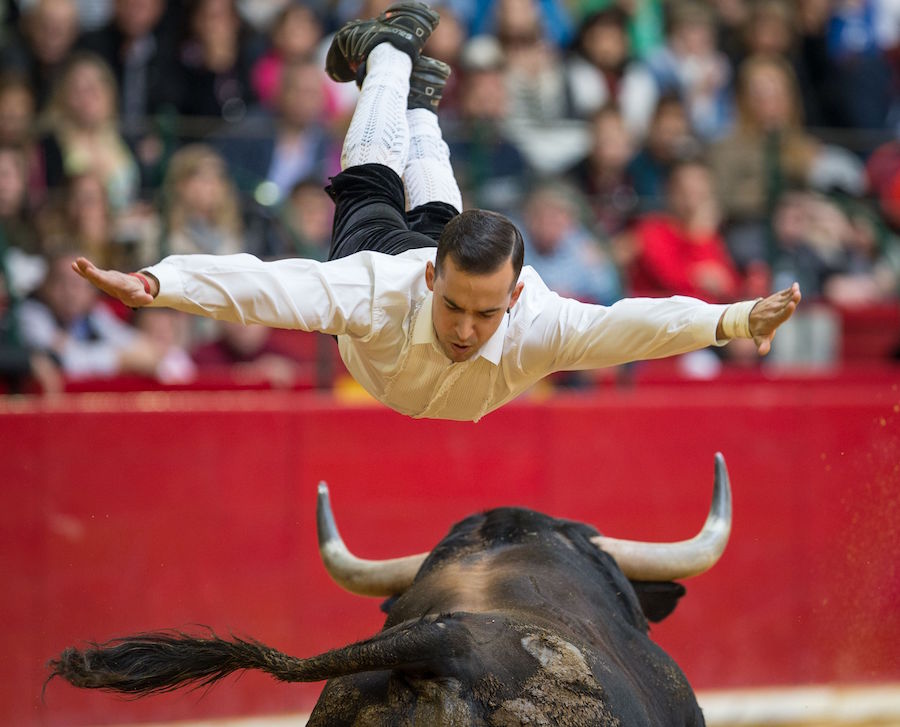 PHOTO: Death-defying dive over a raging bull