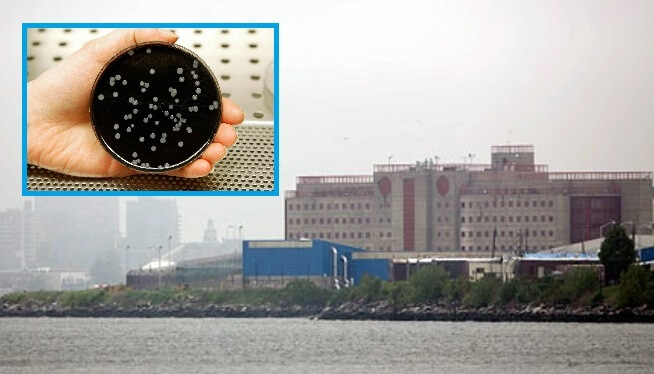 Legionnaires’ found in inmate on Rikers Island, NYC’s main jail